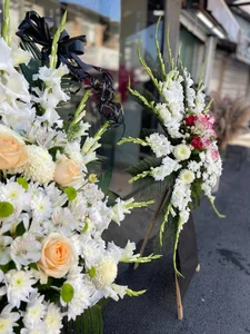 گلفروشی گلبرگ چالوس 2