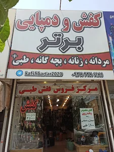 کفش برتر
