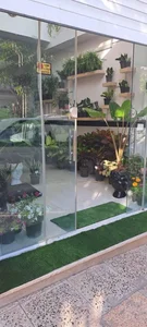 فروشگاه گل و گیاه بامبو 2