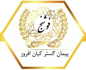 شرکت پیمان گستر کیان افروز