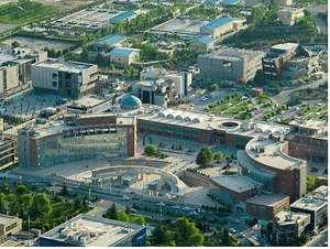 مدیاپارک نیتک