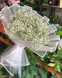 گل فروشی کنتیا 2