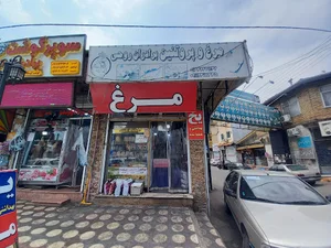 مرغ و پروتئین برادران روحی