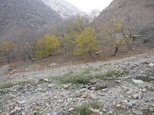 خانه سنگی بوژان