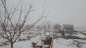 ویلا باغ سیدمجتبی