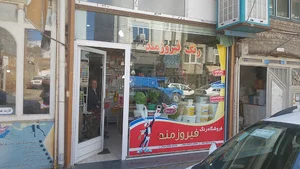 فروشگاه نیپون رنگ فیروزمند