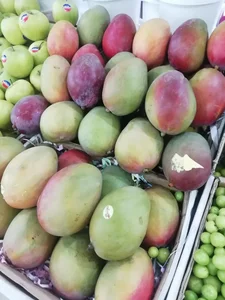 میوه فروشی گلستان 4