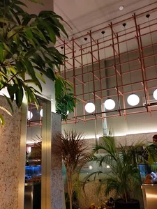 کافه هاوانا قدوسی شرقی