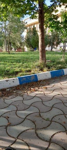 دانشگاه پیام نور واحد لردگان