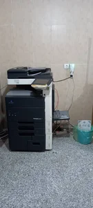 تایپ و تکثیر شاهی
