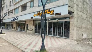 فروشگاه ایران مد 3
