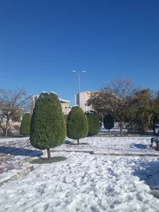 پارک مروارید