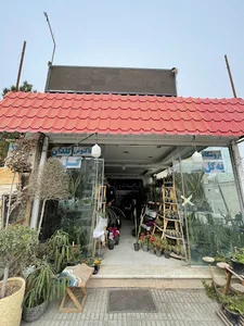 گلفروشی یه گل