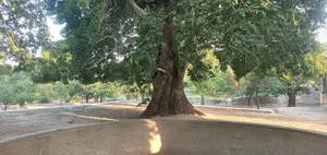 مسجد قلعه کهنه