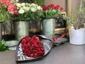 آقای گل