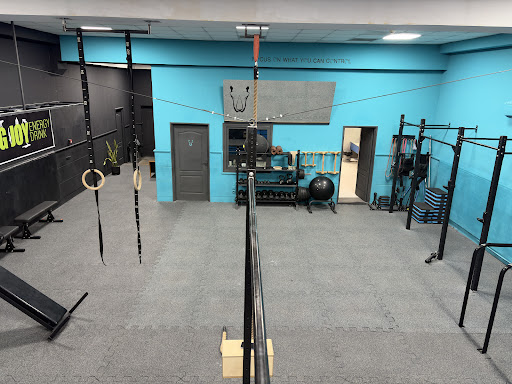 باشگاه تخصصی کلیستنیکس راینو