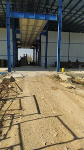 سورتینگ جهان فروت