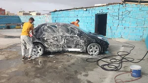 کارواش محسن