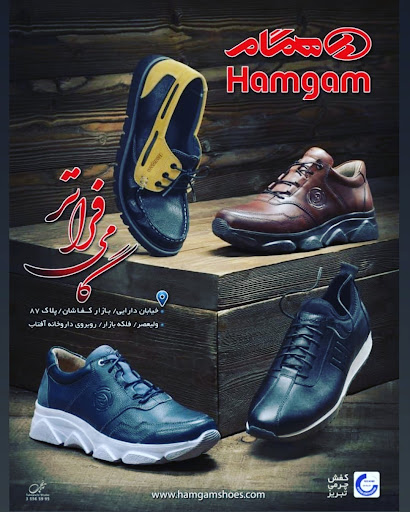 شرکت صنعت گستر کفش همگام