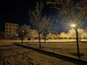 زمین بازی کودکان