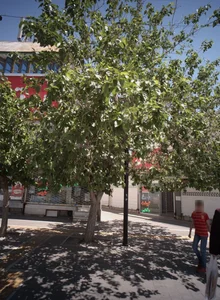 فروشگاه پروتئینی