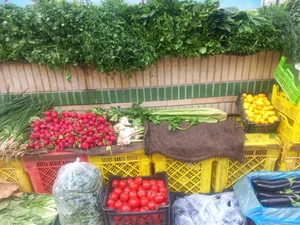 میوه فروشی رحیمی 5