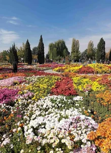 آستان مقدس امامزاده زید