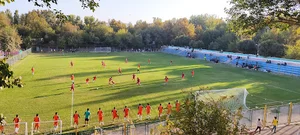 زمین چمن طبیعی بعثت
