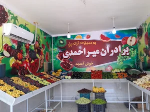 پلاسکو خانه وآشپزخانه