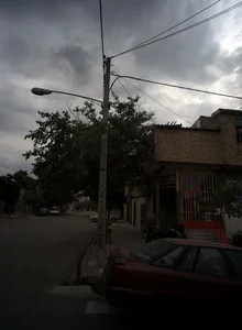 میوه و تره بار