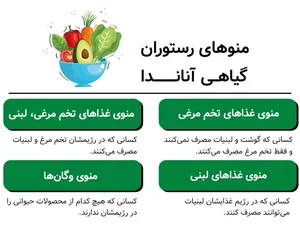 تهیه غذای رژیمی هلث لند