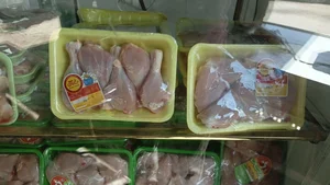 دکتر بوقلمون فرشید 3