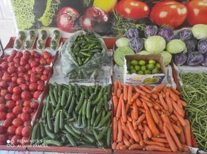 میوه فروشی چهار فصل سیب سبز 3