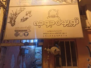 تپل جوجه