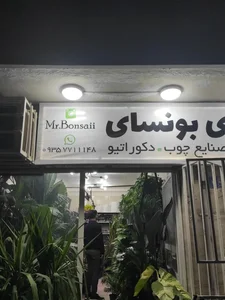 گالری آقای بونسای 2