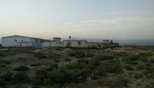 شرکت مرغ سهیل مهدیشهر