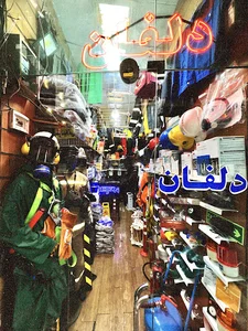 فروشگاه دلفان
