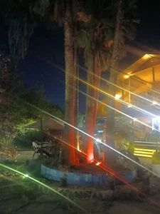 کافه هوکا 5