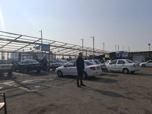 کارواش گلها