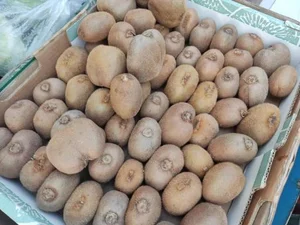 سوپر میوه آنا 4