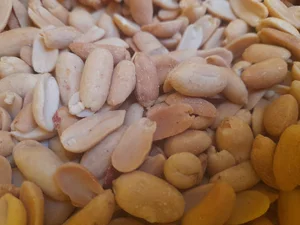شهر بادام زمینی ام پی جی(MPG)