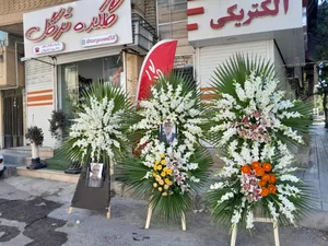 گلکده ترگل 5