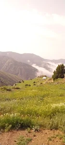 مزار روستای جیش آباد