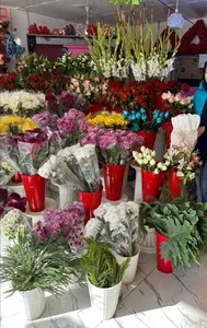 گلکده پارمیدا 3