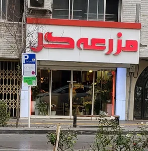 مزرعه گل