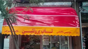 تاپ پروتئین  پویا 2