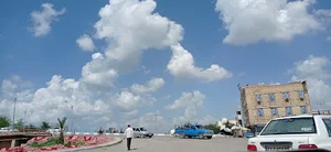 میدان شهداء