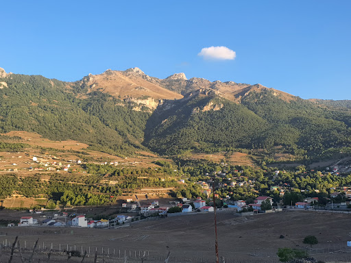 دهیاری روستای لنگر