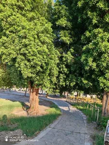 پارک ساحلی 3