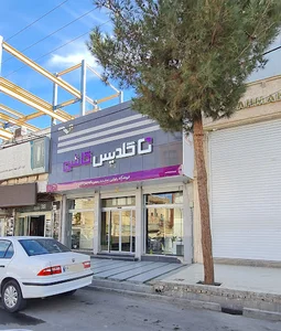 گلدیس کاشی_ رضایی